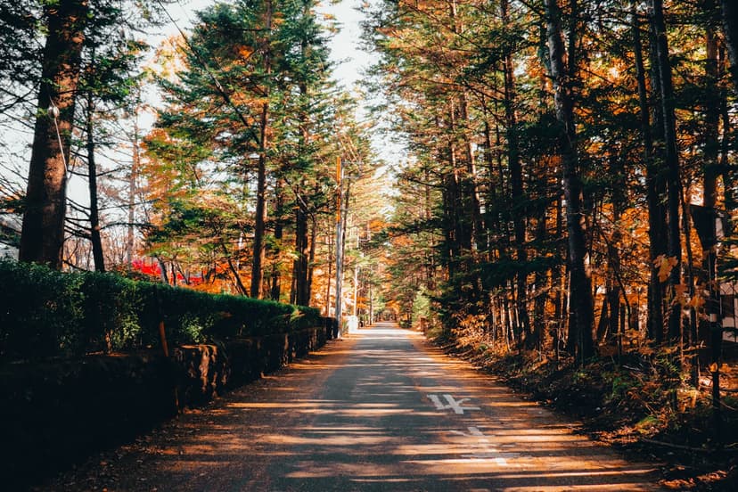 Moving to Karuizawa: A Foreigner's Guide